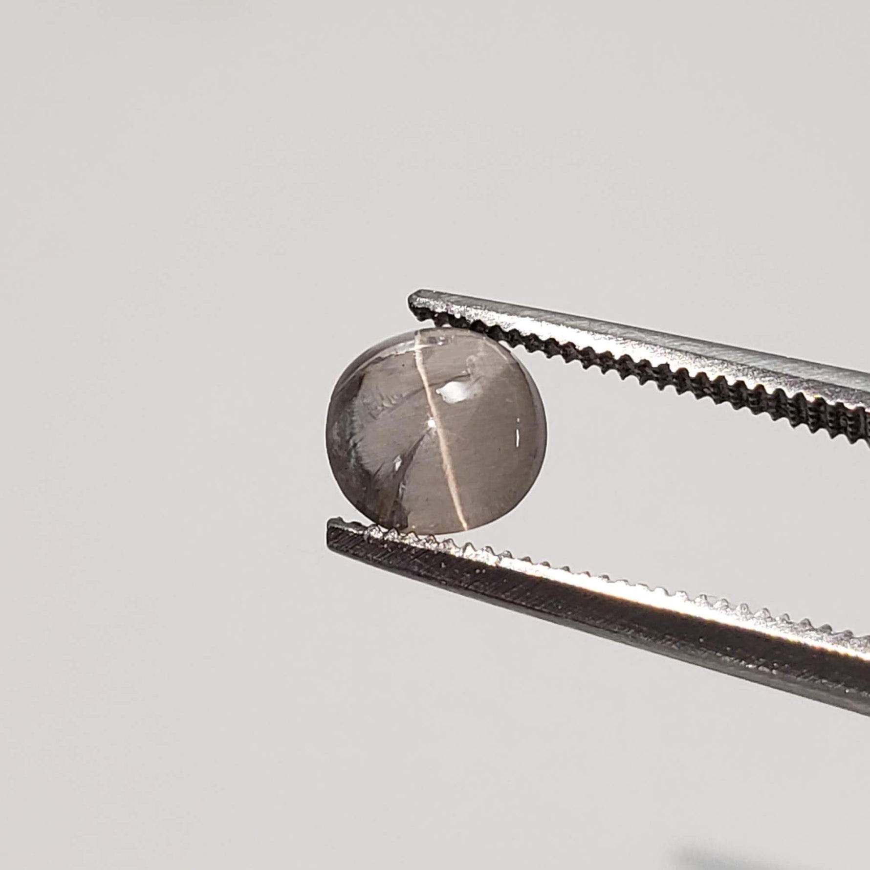  Sillimanite Cats Eye | 6 Piece Lot | Round Cabochon | Titanium | 5.7-6mm 5.2tcw 4