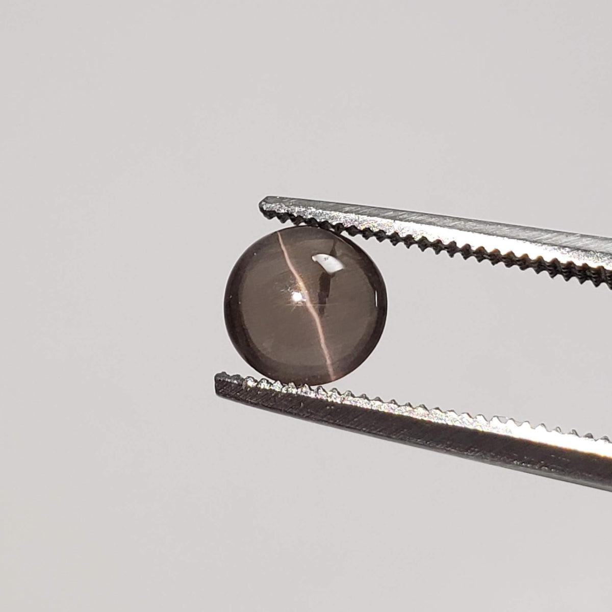  Sillimanite Cats Eye | 6 Piece Lot | Round Cabochon | Titanium | 5.7-6mm 5.2tcw 5