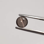  Sillimanite Cats Eye | 6 Piece Lot | Round Cabochon | Titanium | 5.7-6mm 5.2tcw 5