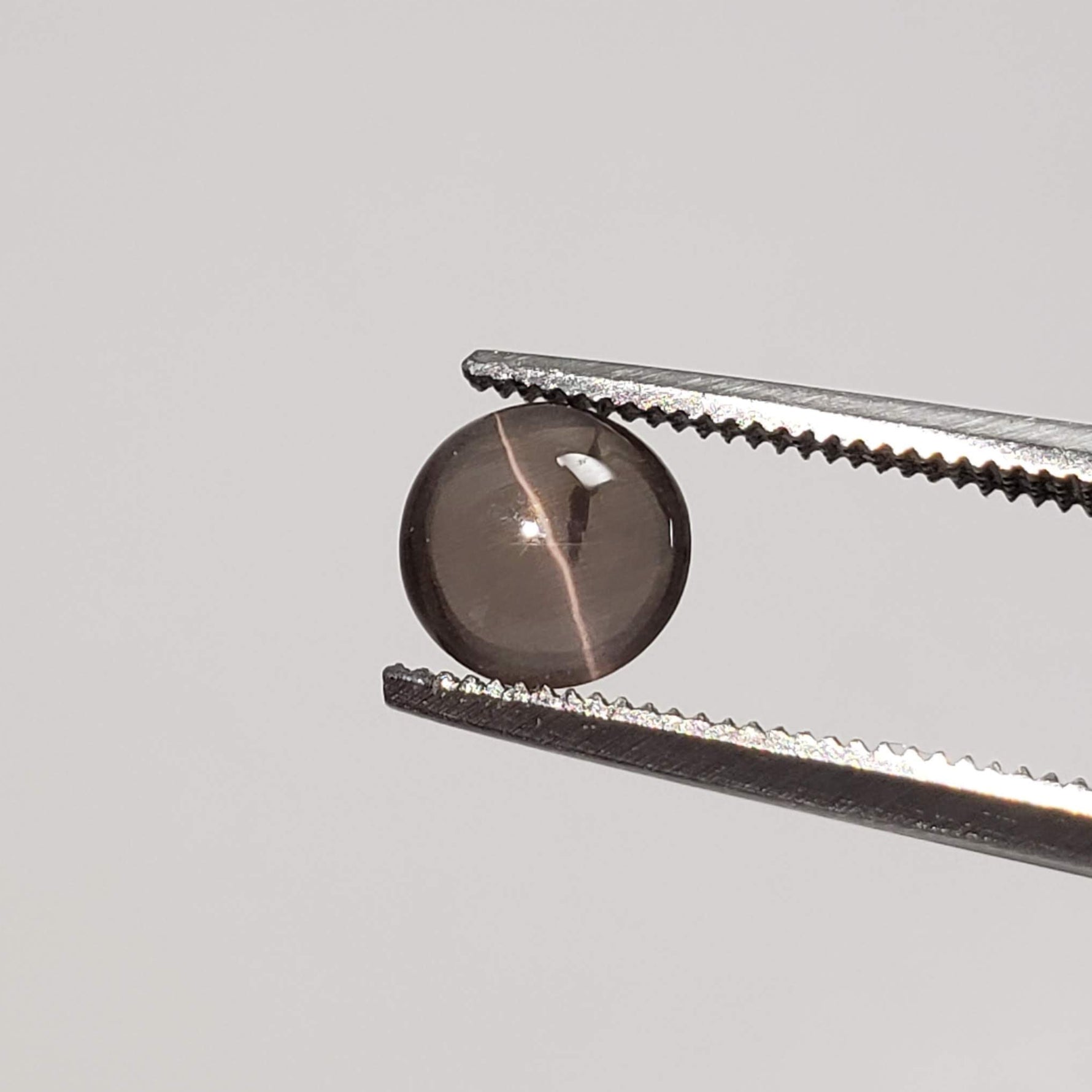  Sillimanite Cats Eye | 6 Piece Lot | Round Cabochon | Titanium | 5.7-6mm 5.2tcw 5