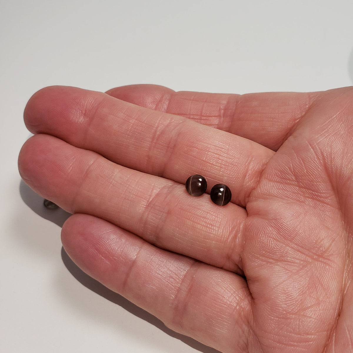  Sillimanite Cats Eye | 6 Piece Lot | Round Cabochon | Titanium | 5.7-6mm 5.2tcw 7