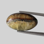  Simbircite | Oval Cabochon | Rare Amber | 18.2x10.8mm 6.14ct | SO24 