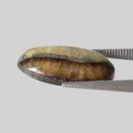  Simbircite | Oval Cabochon | Rare Amber | 18.2x10.8mm 6.14ct | SO24 5