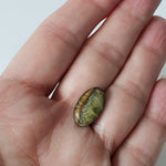  Simbircite | Oval Cabochon | Rare Amber | 18.2x10.8mm 6.14ct | SO24 7