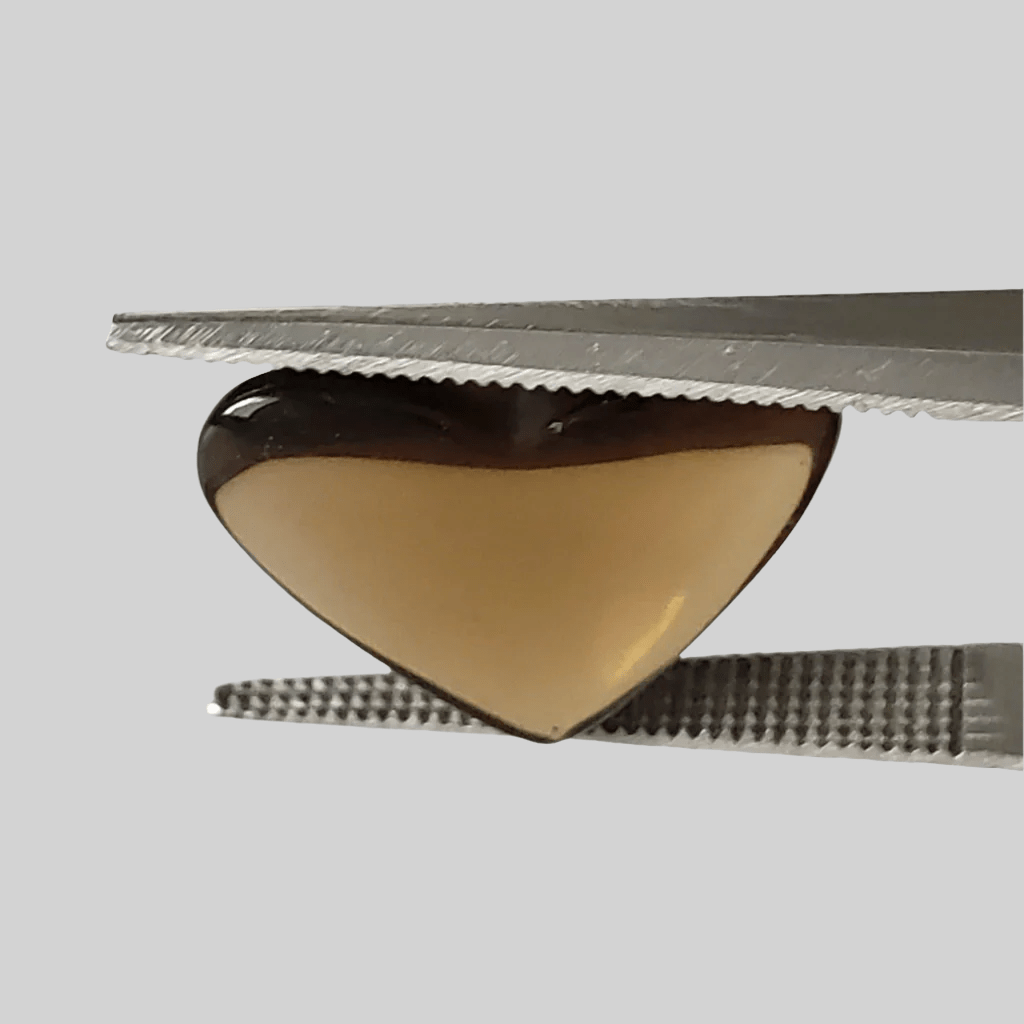  Smoky Quartz | Heart Shape Cabochon | 15x12mm 5.1ct 2