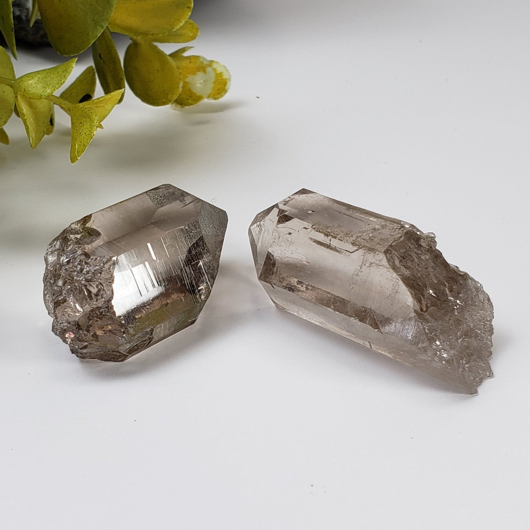  Smoky Quartz Points (Pair) | Clear Crystal Points | Italy | SO24 3