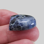  Sodalite | Half Oval Cabochon | Navy Blue | 22.8x19.3mm 27ct | Africa 4