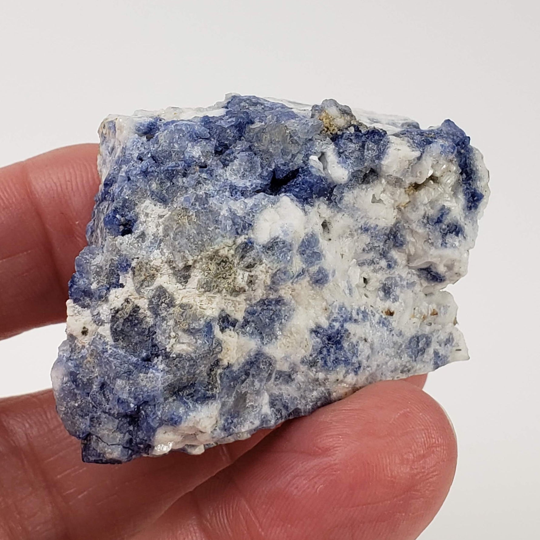  Sodalite | Rough Sodalite | 41.69 grams | Mont Saint Hilaire, Quebec, Canada 2