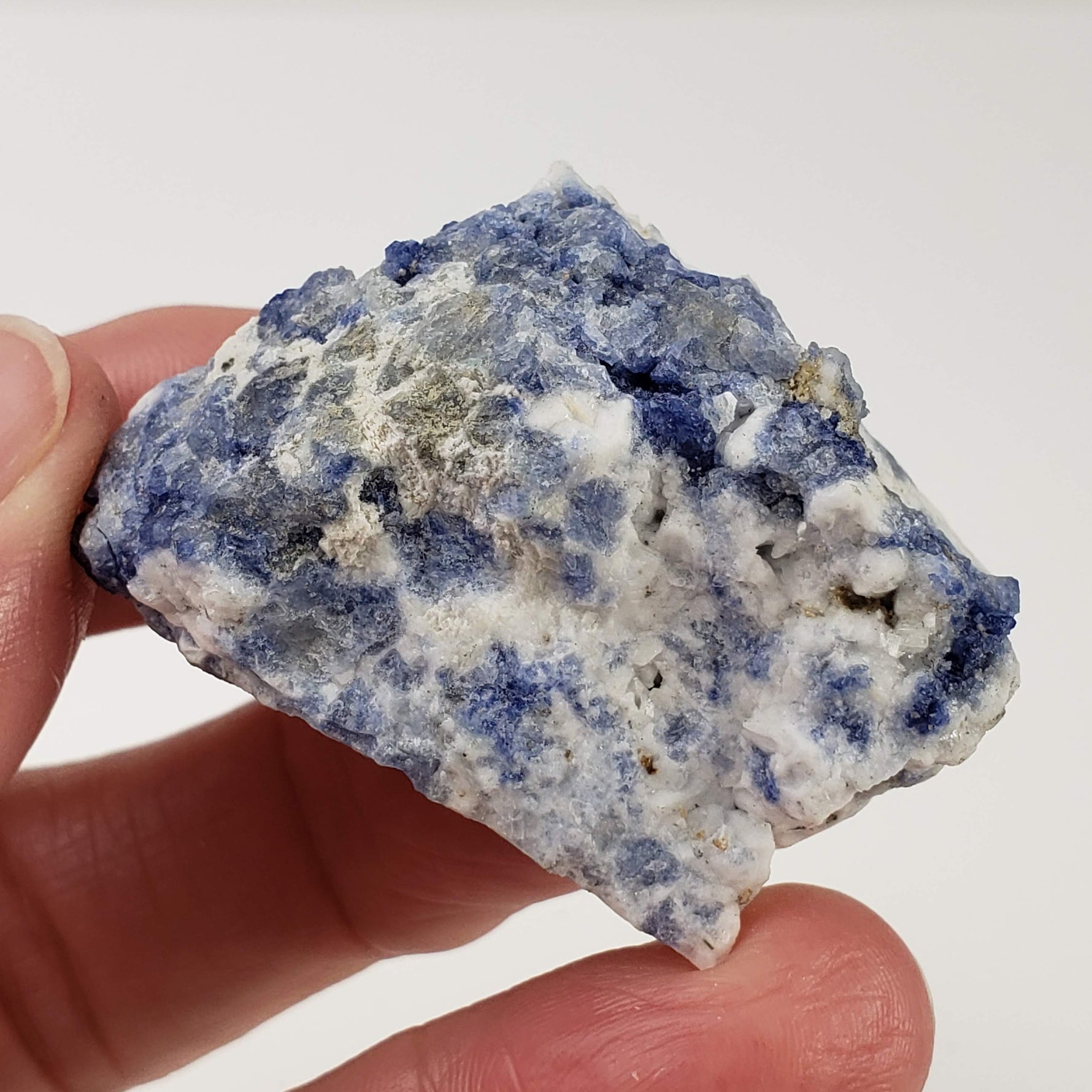  Sodalite | Rough Sodalite | 41.69 grams | Mont Saint Hilaire, Quebec, Canada 3