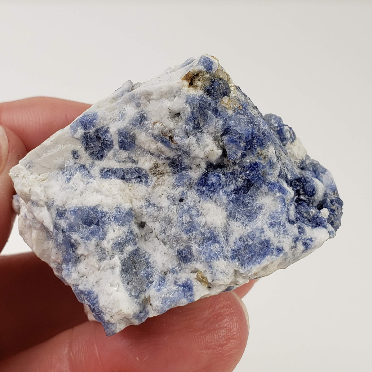  Sodalite | Rough Sodalite | 41.69 grams | Mont Saint Hilaire, Quebec, Canada 4