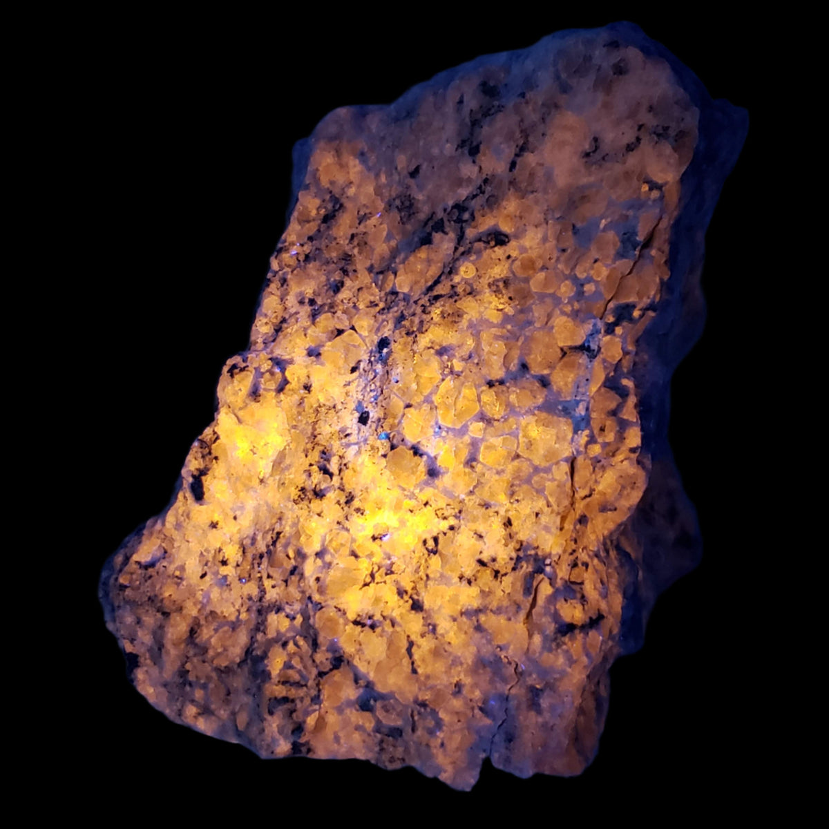  Sodalite var. Hackmanite and Microcline | Fluorescent Lapidary Mineral | 900 grams | Mont-Saint-Hilaire, Quebec 9