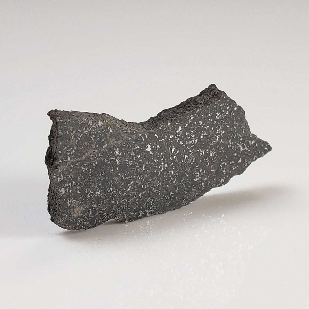  Spade Meteorite | 2.1 Grams | Part Slice | H6 Chondrite | Lamb County, Texas 1