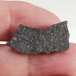  Spade Meteorite | 2.1 Grams | Part Slice | H6 Chondrite | Lamb County, Texas 4