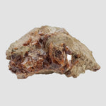  Spessartine Garnet Crystals on Matrix | Orange | 240 Grams | Kern County, CA 4