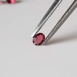  Spinel | 5 Piece Lot | Oval Cut | Red | 0.77tcw 4