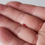  Spinel | 5 Piece Lot | Oval Cut | Red | 0.77tcw 7