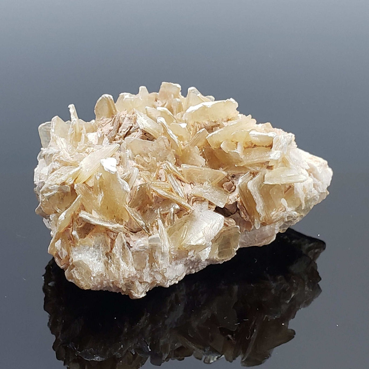  Star Mica Metamorphic Rock | 51.3g | Muscovite | Brazil 