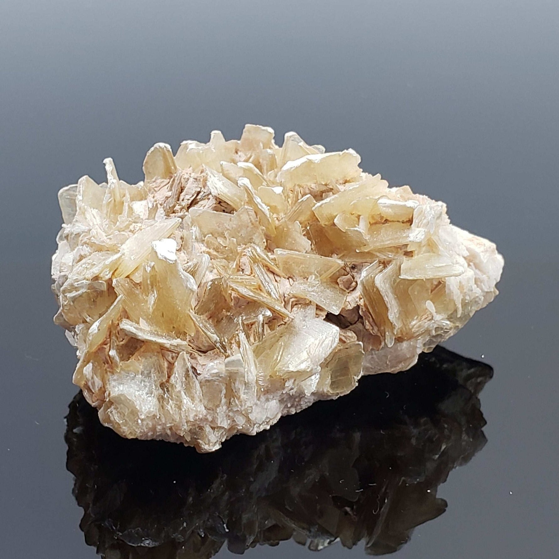  Star Mica Metamorphic Rock | 51.3g | Muscovite | Brazil 