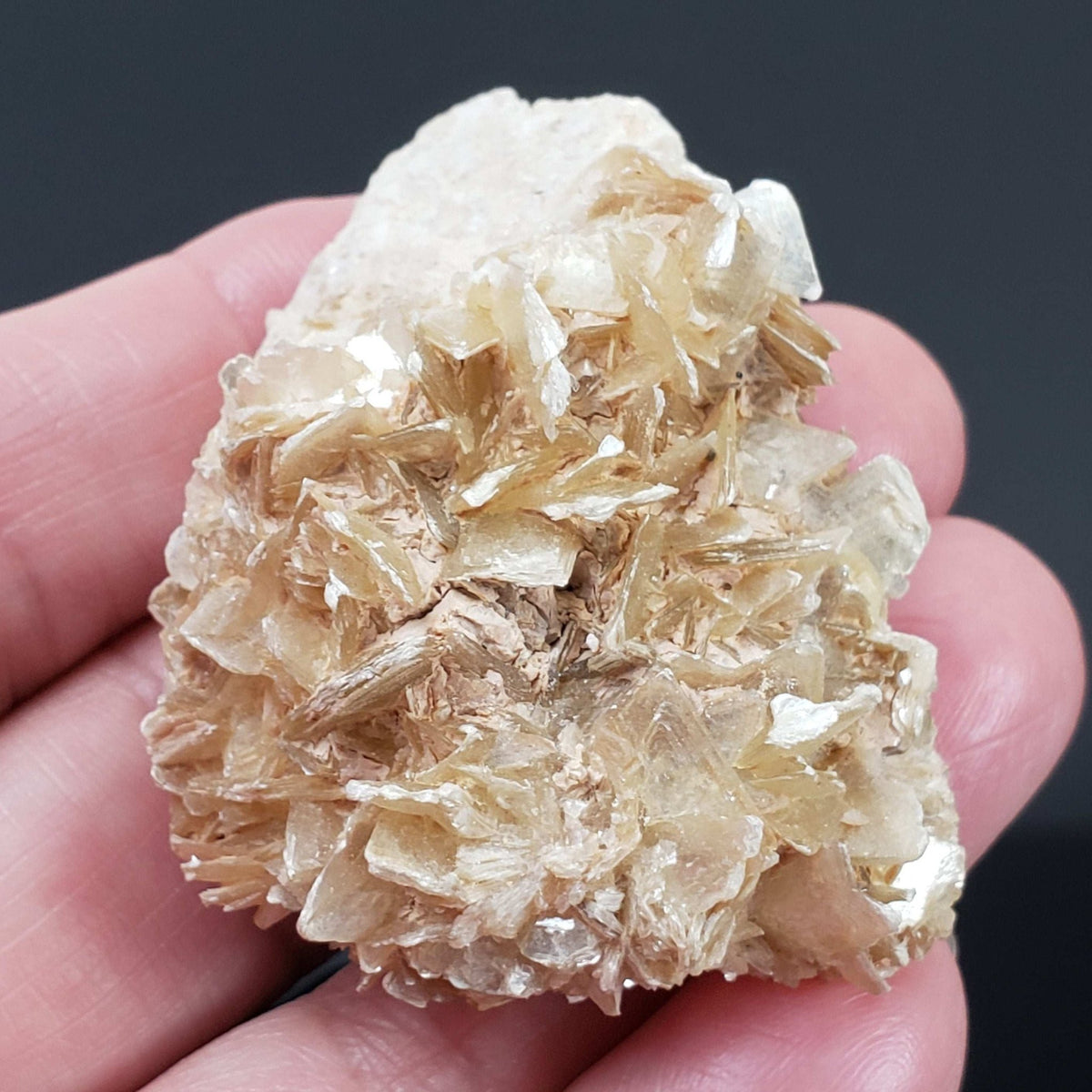  Star Mica Metamorphic Rock | 51.3g | Muscovite | Brazil 5