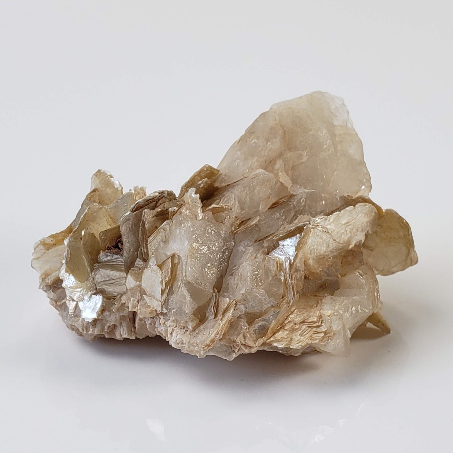Star Mica Metamorphic Rock with Quartz | 36.16g | Muscovite | Brazil 0