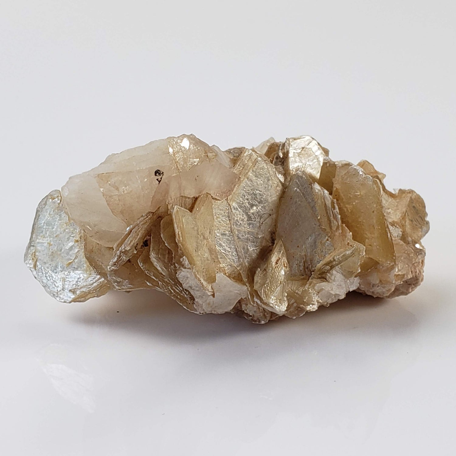 Star Mica Metamorphic Rock with Quartz | 36.16g | Muscovite | Brazil 1