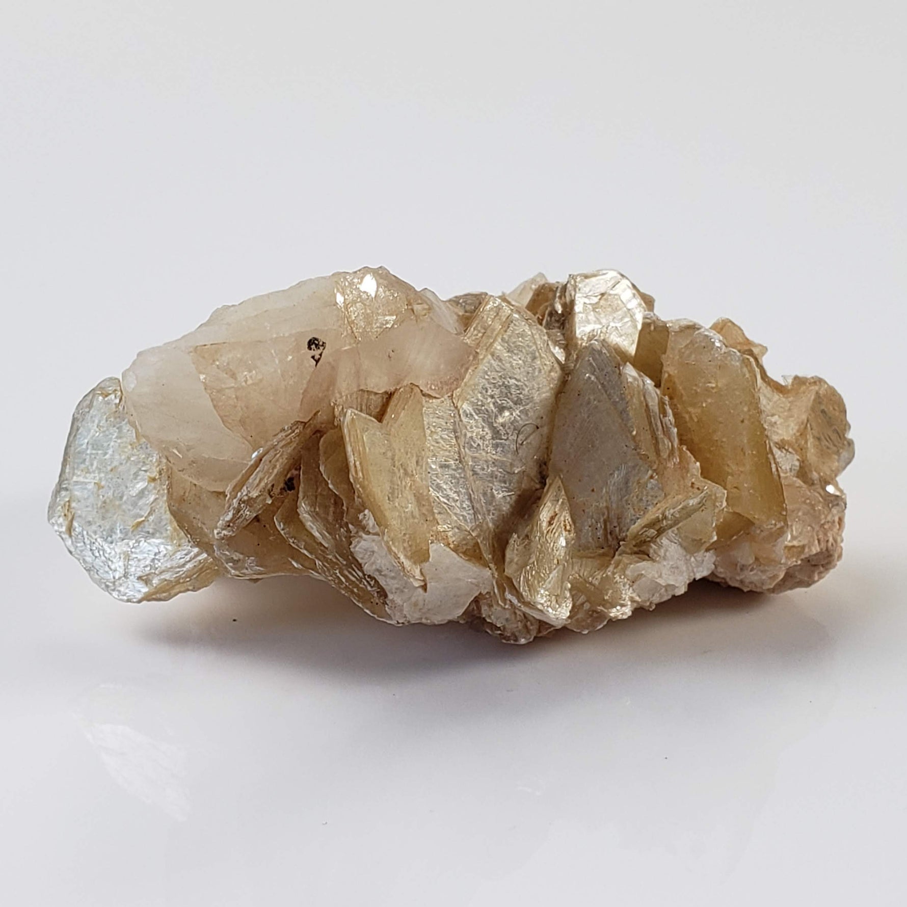 Star Mica Metamorphic Rock with Quartz | 36.16g | Muscovite | Brazil 1