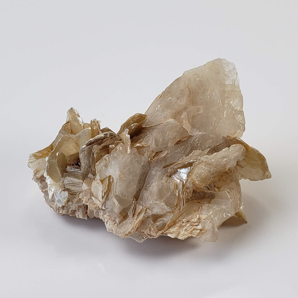 Star Mica Metamorphic Rock with Quartz | 36.16g | Muscovite | Brazil 3