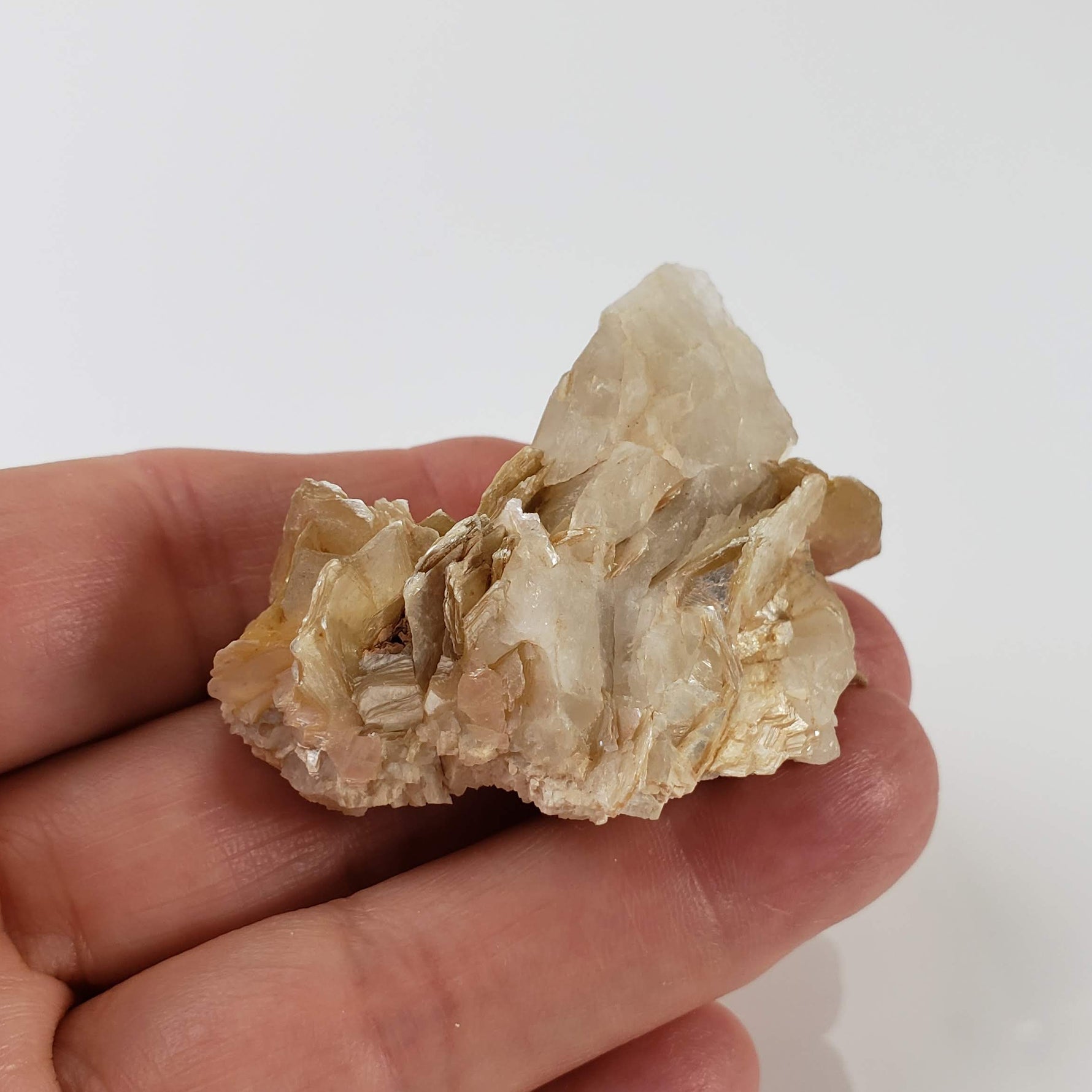 Star Mica Metamorphic Rock with Quartz | 36.16g | Muscovite | Brazil 4