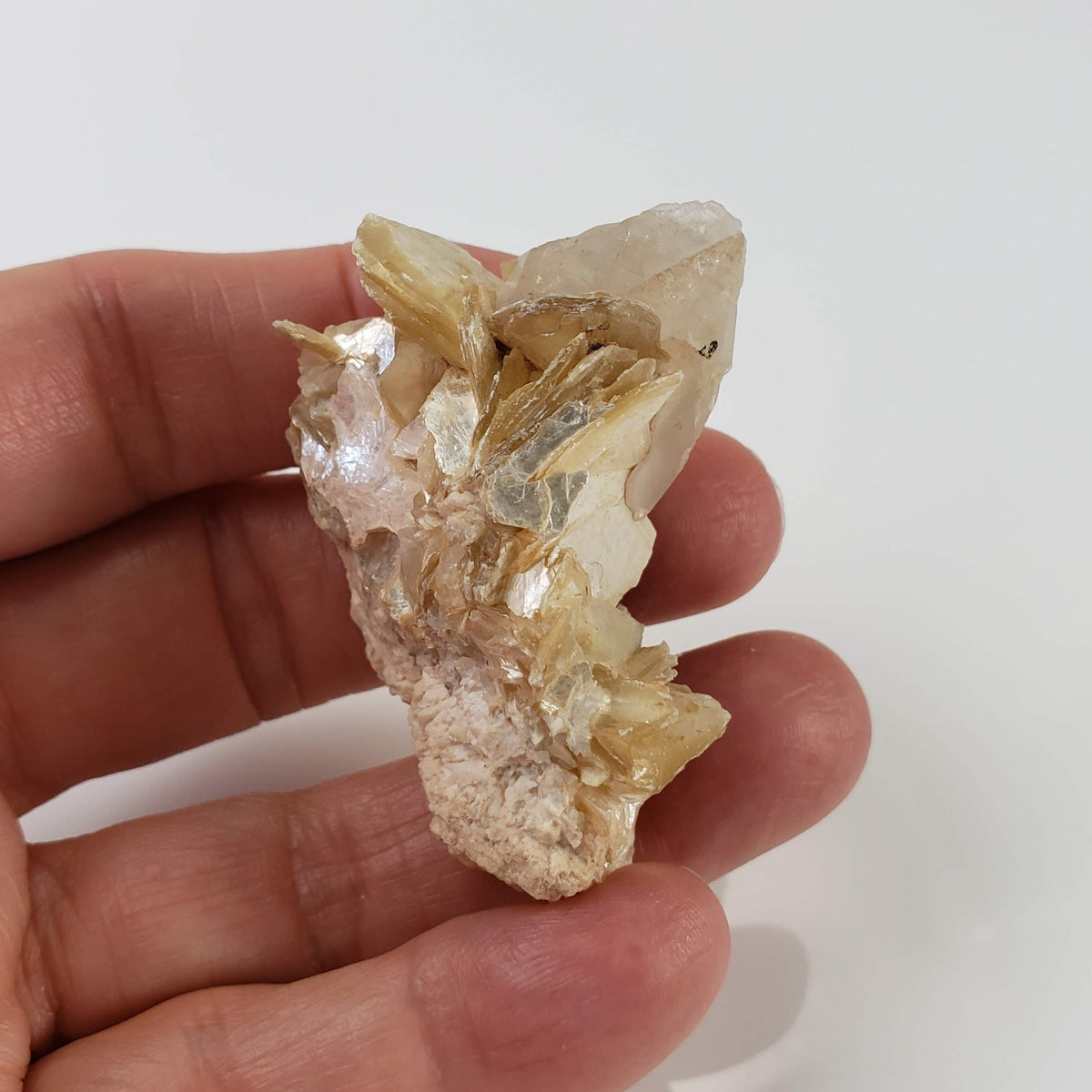 Star Mica Metamorphic Rock with Quartz | 36.16g | Muscovite | Brazil 5