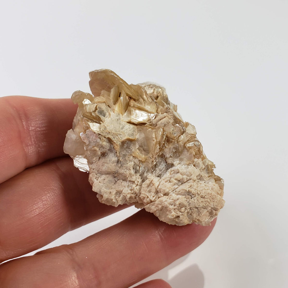 Star Mica Metamorphic Rock with Quartz | 36.16g | Muscovite | Brazil 6