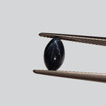  Star Sapphire | Marquise Cabochon | Royal Blue | 10x5.5mm | SO24 3
