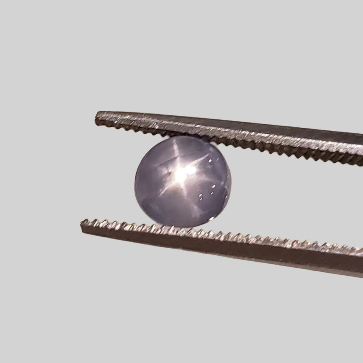  Star Sapphire | Oval Cabochon | Blue | 5.5x5.0mm 1.5ct | Myanmar 