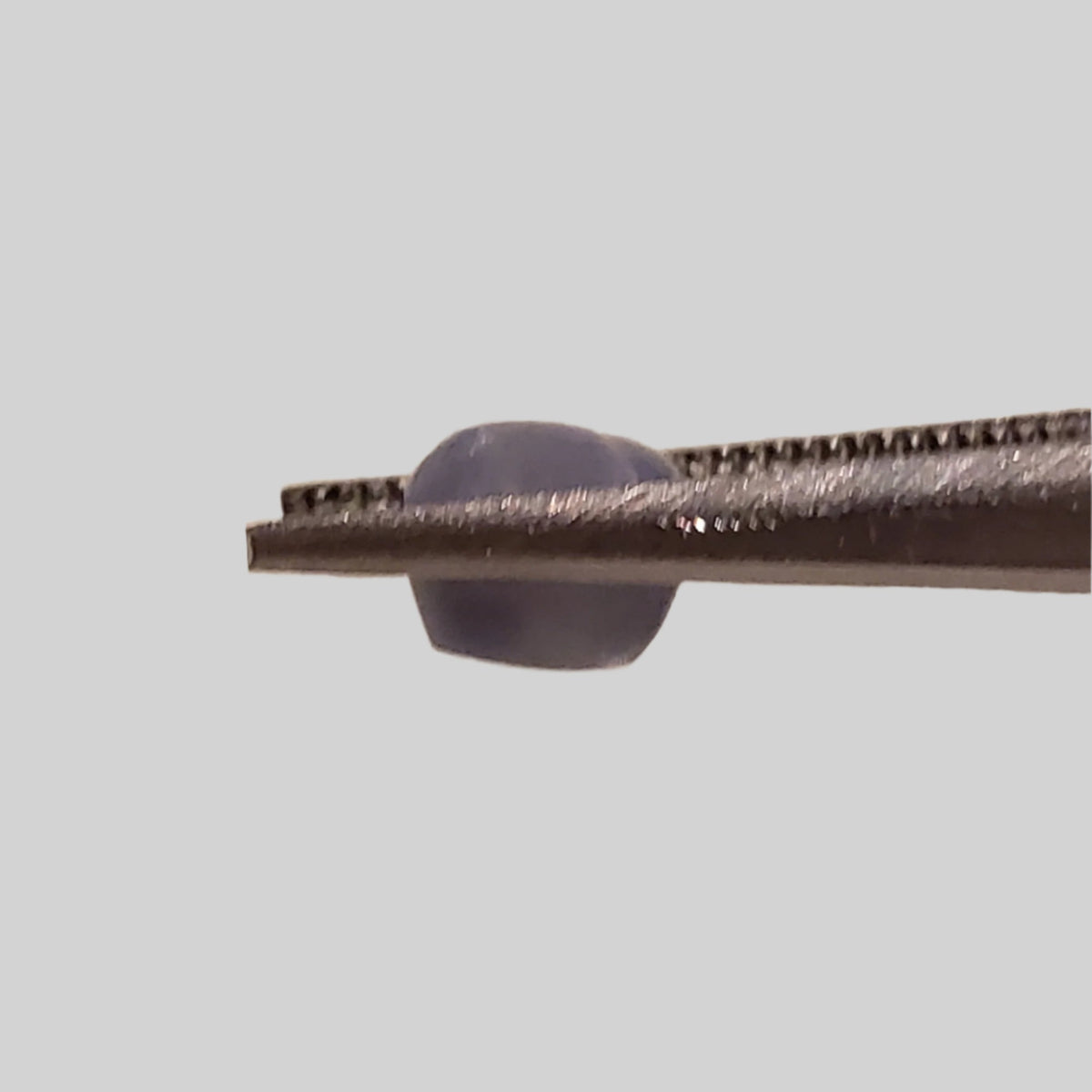  Star Sapphire | Oval Cabochon | Blue | 5.5x5.0mm 1.5ct | Myanmar 5