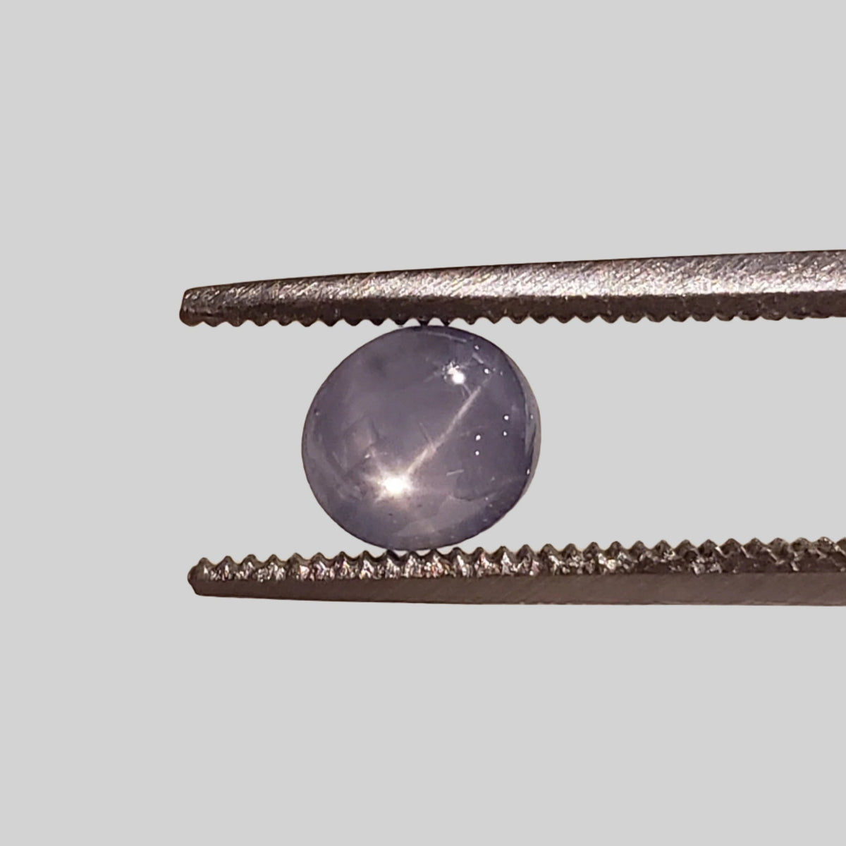  Star Sapphire | Oval Cabochon | Blue | 5.5x5.0mm 1.5ct | Myanmar 4