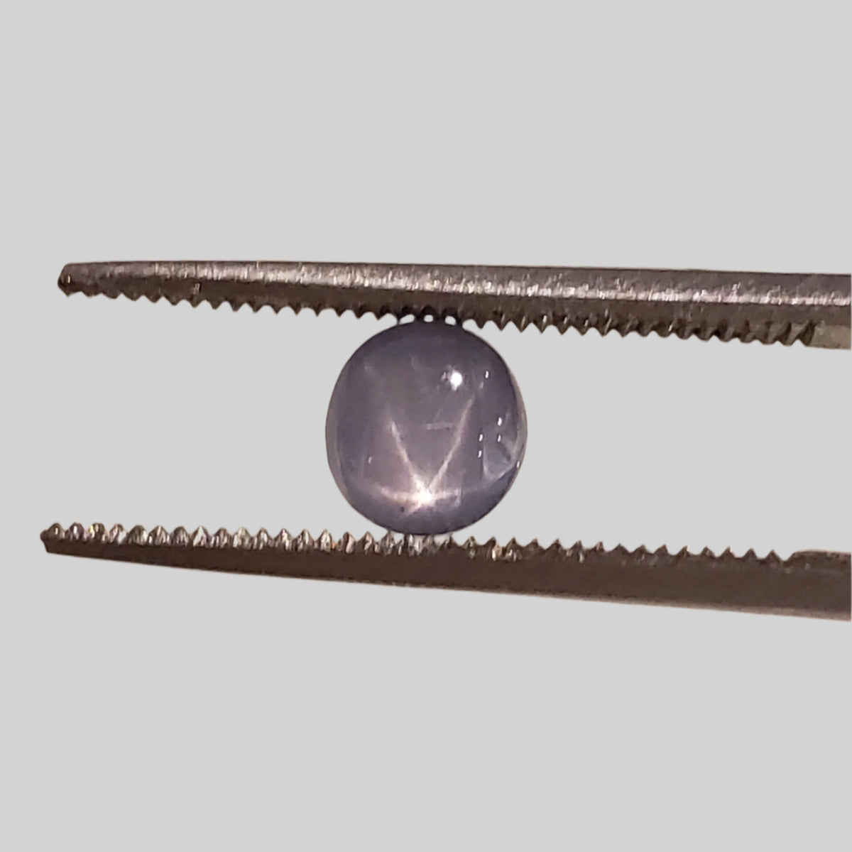  Star Sapphire | Oval Cabochon | Blue | 5.5x5.0mm 1.5ct | Myanmar 1