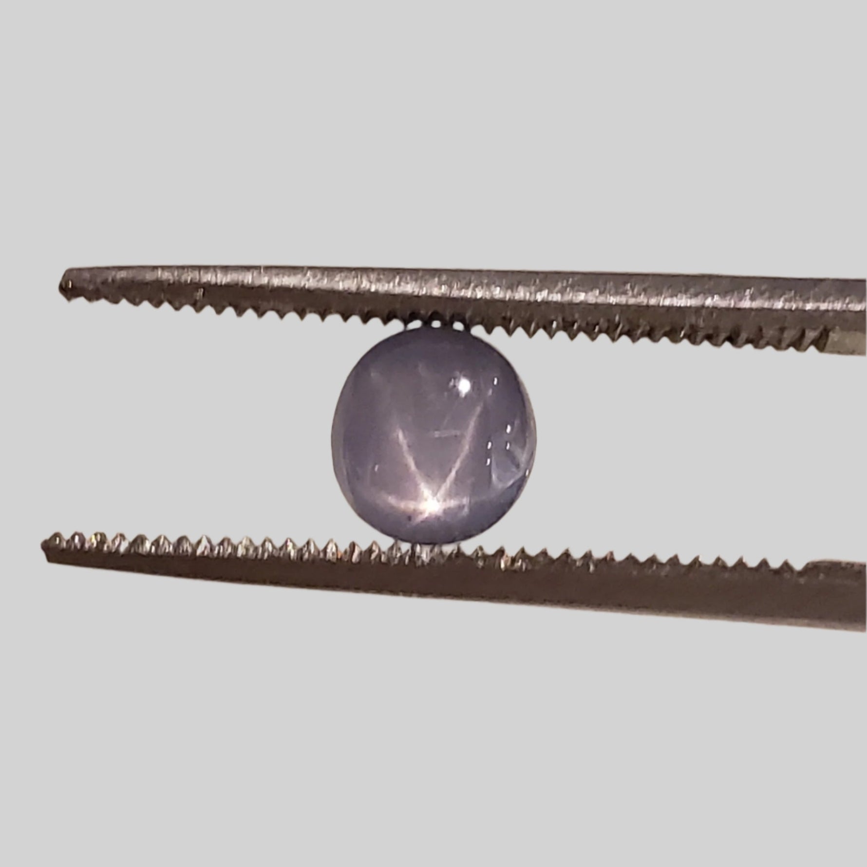  Star Sapphire | Oval Cabochon | Blue | 5.5x5.0mm 1.5ct | Myanmar 1