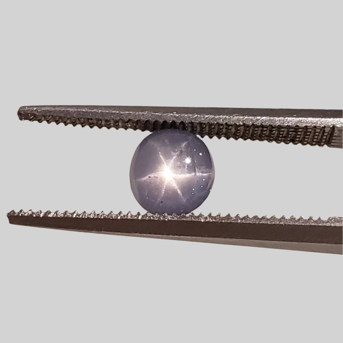  Star Sapphire | Oval Cabochon | Blue | 5.5x5.0mm 1.5ct | Myanmar 3