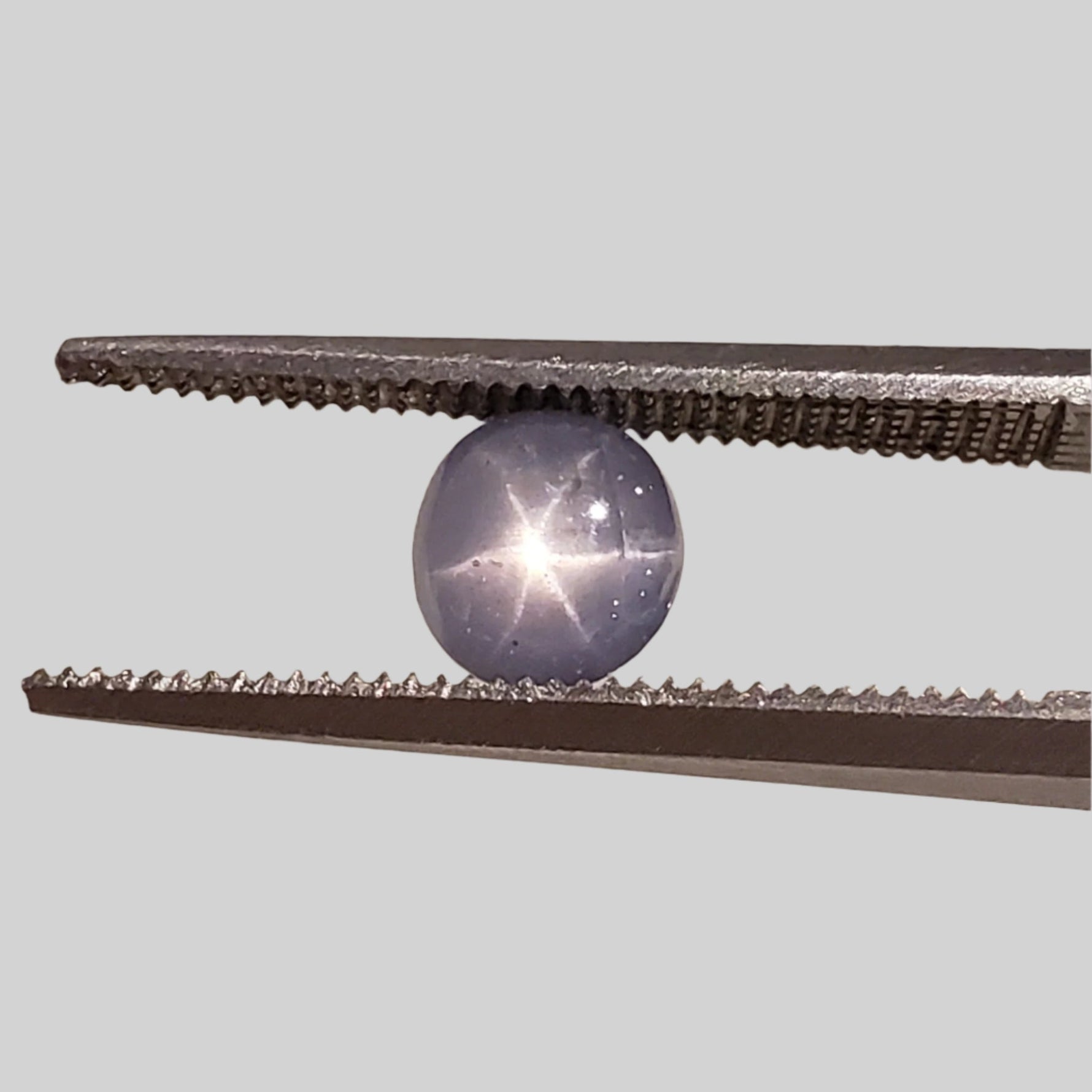  Star Sapphire | Oval Cabochon | Blue | 5.5x5.0mm 1.5ct | Myanmar 3