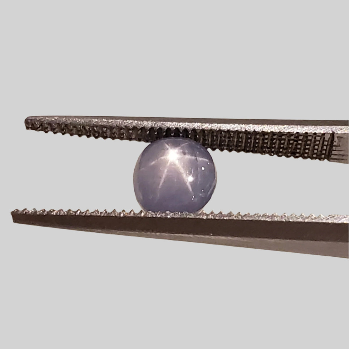  Star Sapphire | Oval Cabochon | Blue | 5.5x5.0mm 1.5ct | Myanmar 2