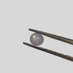  Star Sapphire | Oval Cabochon | Blue | 6.4x5.5mm 1.7ct | Myanmar 2