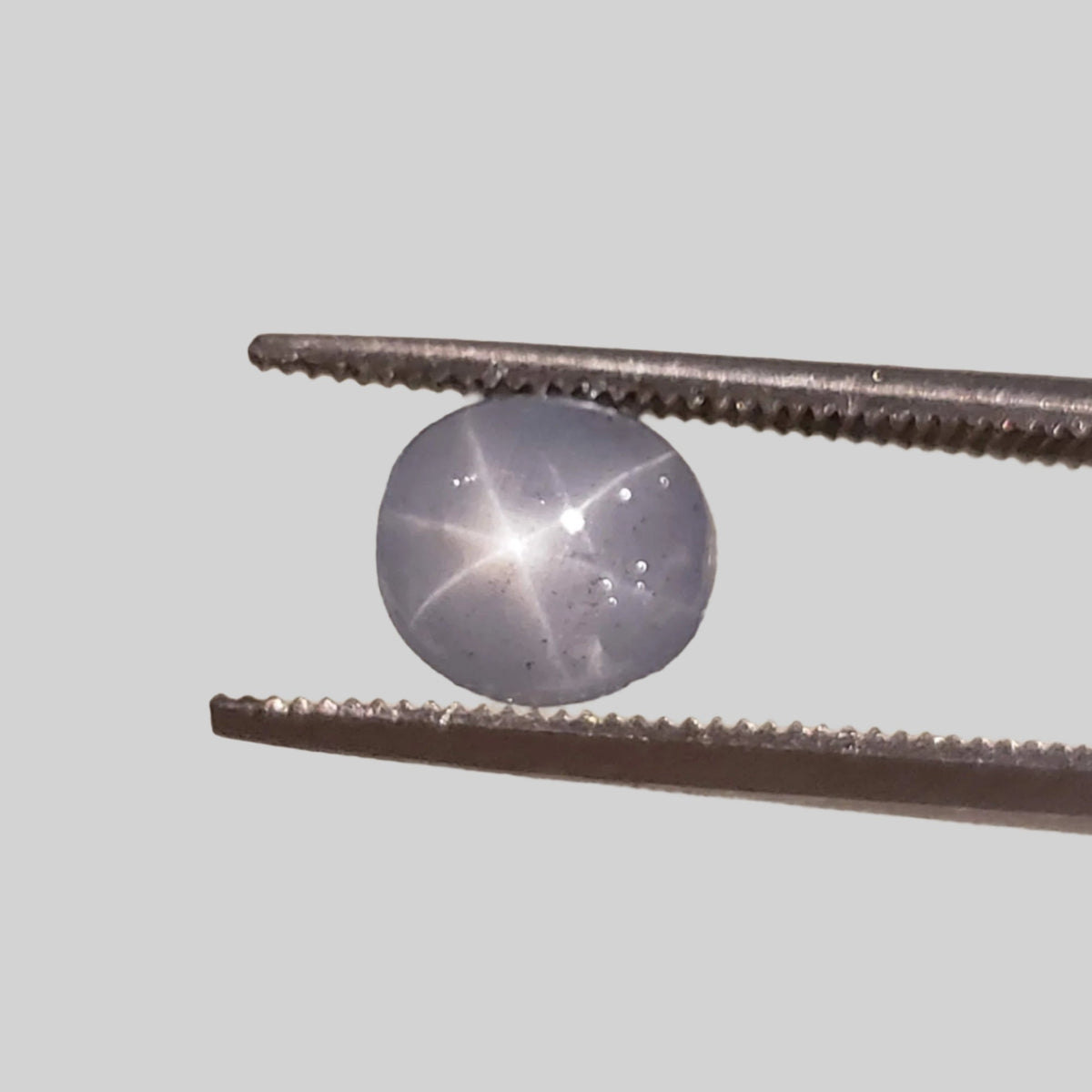  Star Sapphire | Oval Cabochon | Blue | 7.0x6.5mm 2.0ct | Myanmar 2
