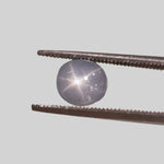  Star Sapphire | Oval Cabochon | Blue | 7.0x6.5mm 2.0ct | Myanmar 2