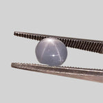  Star Sapphire | Oval Cabochon | Blue | 7.0x6.5mm 2.0ct | Myanmar 1
