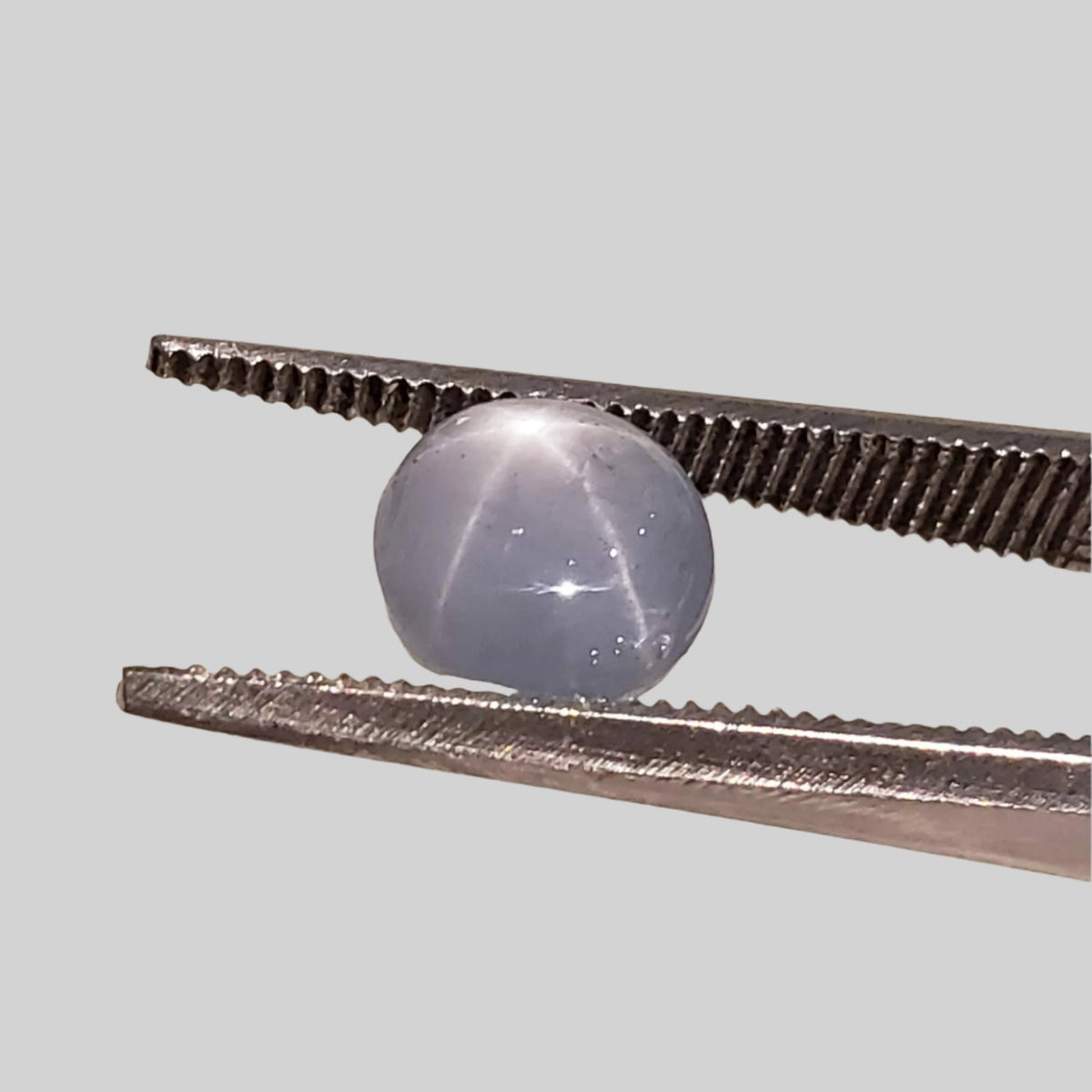  Star Sapphire | Oval Cabochon | Blue | 7.0x6.5mm 2.0ct | Myanmar 1