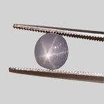  Star Sapphire | Oval Cabochon | Blue | 7.0x6.5mm 2.0ct | Myanmar 