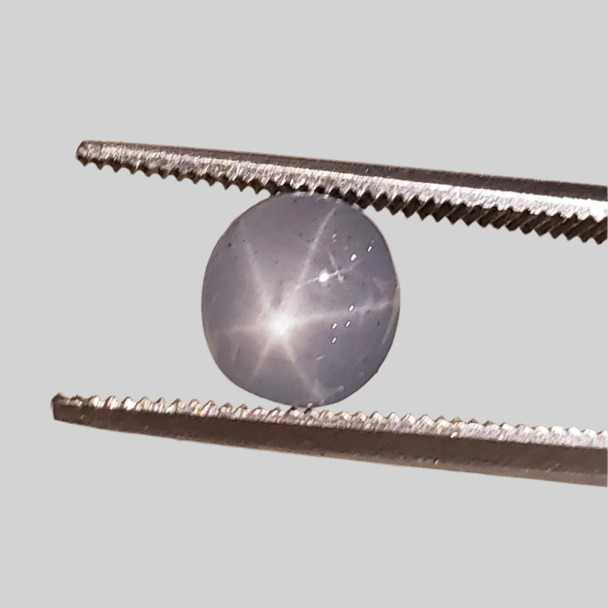  Star Sapphire | Oval Cabochon | Blue | 7.0x6.5mm 2.0ct | Myanmar 