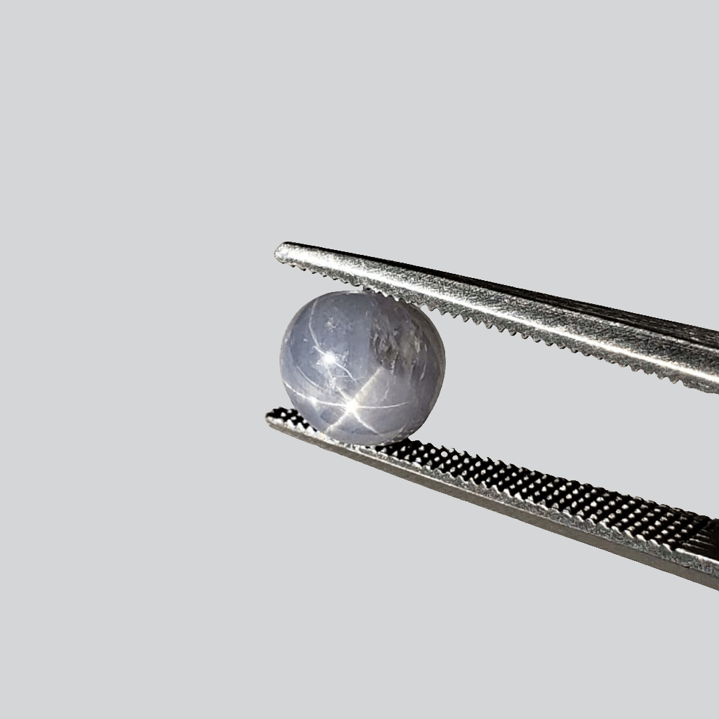  Star Sapphire | Oval Cabochon | Blue | 7x6.5mm 2.4ct | Myanmar | SO24 2