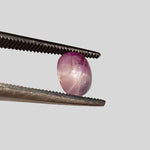  Star Sapphire | Oval Cabochon | Pink | 6.7x5.1mm 1.5ct | Myanmar 2
