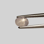  Star Sapphire | Oval Cabochon | Silver | 6.5x5mm | Myanmar | SO24 