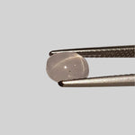  Star Sapphire | Oval Cabochon | Silver | 6.5x5mm | Myanmar | SO24 4